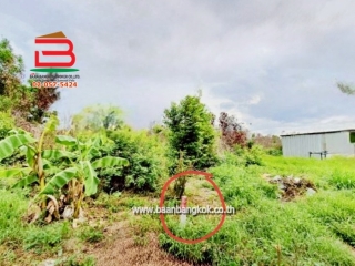 LINE_ALBUM_N.010786 LD 200 ตร.ว.เตี๋ยวโกหลิวบงกช 6_250804_8