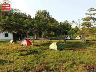 No. 04307 บ้านสวนรัตติกาล อินทนนท์_210614_7