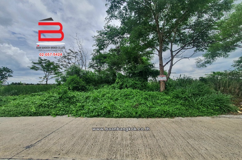 ที่ดินเปล่า ข้างวัดอัยยิการาม เนื้อที่ 100 ตรว. ถนนรังสิต-นครนายก อ.ธัญบุรี จ.ปทุมธานี