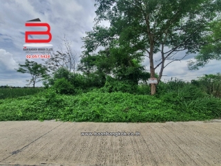 08480, ที่ดินเปล่า ข้างวัดอัยยิการาม เนื้อที่ 100 ตรว. ถนนรังสิต-นครนายก อ.ธัญบุรี จ.ปทุมธานี