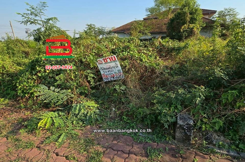 LINE_ALBUM_No.11665ที่ดิน70ตรว.ชัยพฤกษ์1คุ้มเกล้า_260213_5