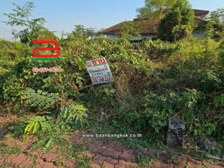 LINE_ALBUM_No.11665ที่ดิน70ตรว.ชัยพฤกษ์1คุ้มเกล้า_260213_5