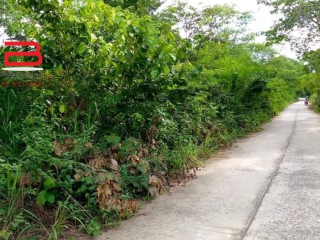 4323 ที่ดิน 3-0-40 ไร่ โนนสัง หนองบัวลำภู_210830_11