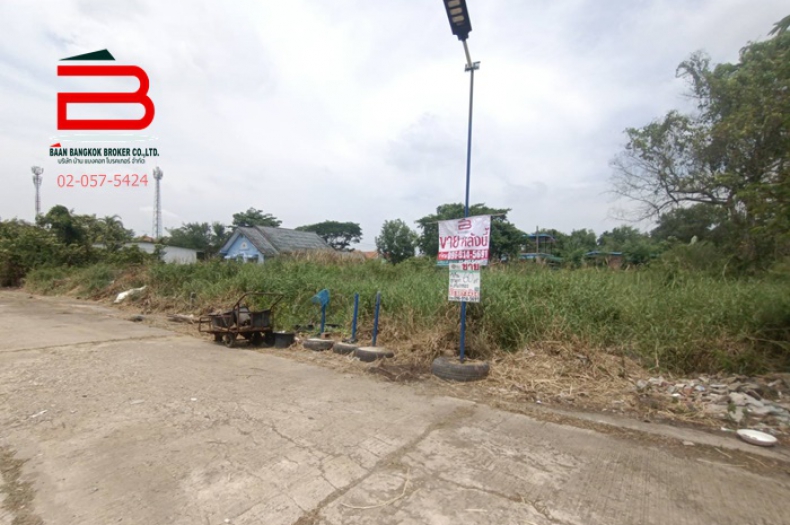 ที่ดินเปล่า หมู่บ้าน สำเภาทอง เนื้อที่ 60 ตรว. ถนนฉลองกรุง เขตหนองจอก  