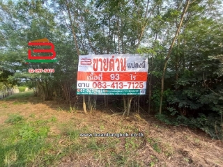 09883, ที่ดินถมแล้ว ถนนคลองสิบ (คลอง 10) หนองเสือ เนื้อที่ 93 ไร่, ใกล้เทศบาลตำบลหนองเสือ ตำบลบึงกาสาม อำเภอหนองเสือ จังหวัดปทุมธานี