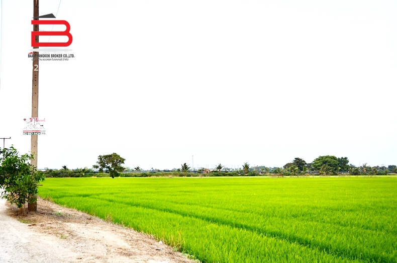 03-LINE_ALBUM_N07075. LD.  ลาดบัวหลวง   พี่อาร์_220207_7