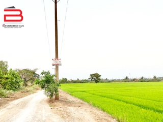 03-LINE_ALBUM_N07075. LD.  ลาดบัวหลวง   พี่อาร์_220207_1