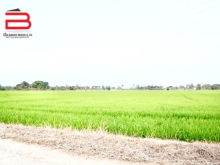 03-LINE_ALBUM_N07075. LD.  ลาดบัวหลวง   พี่อาร์_220207_6