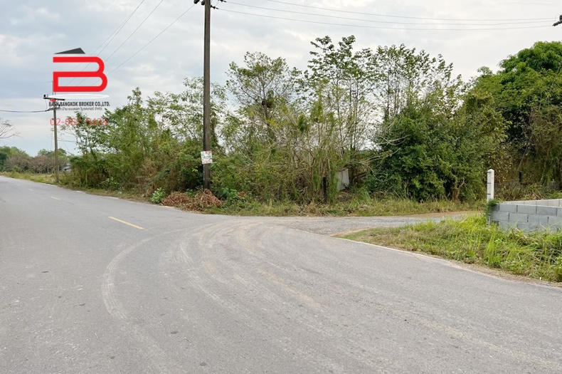 3-S__647169213