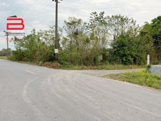3-S__647169213