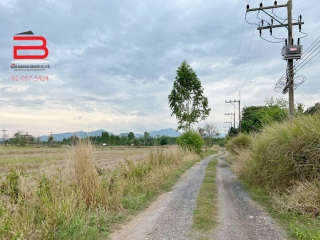 3-S__647169313