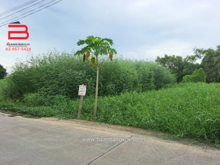 LINE_ALBUM_N08508LD_๒๓๐๗๒๔_2