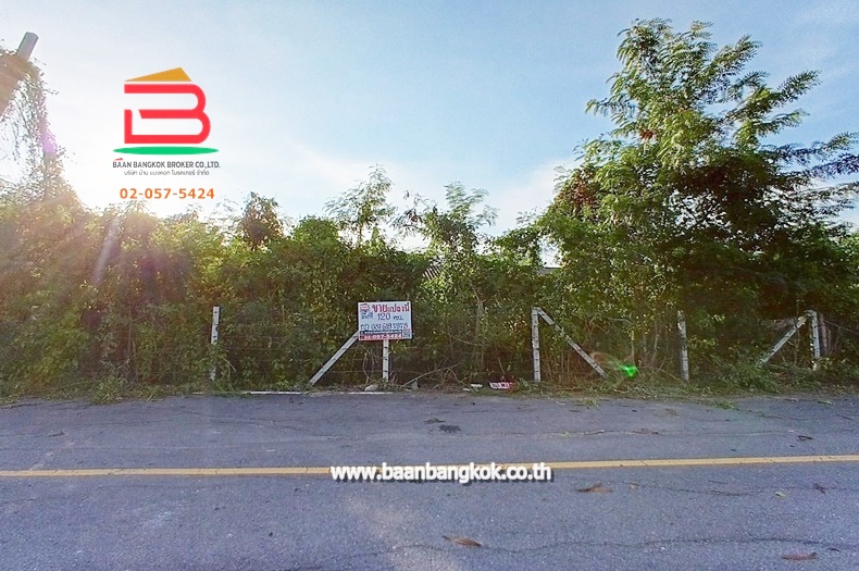ขาย/เช่า ที่ดินถมแล้ว หมู่บ้านฉัตรหลวง เนื้อที่ 120 ตรว. ถนนกาญจนาภิเษก อ.ไทรน้อย จ.นนทบุรี