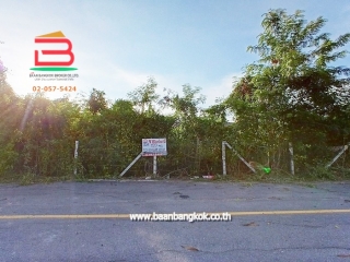 LINE_ALBUM_ซ่อมงาน ที่ดิน 120 ตรว.ไทรน้อย_250417_2