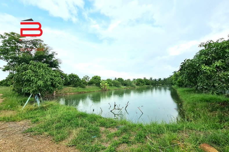 3-LINE_ALBUM_07446ทีดินถมแล้ว30-0-30ต.กระเสียวอ.สามชุกจ.สุพรรณ_220521_1913