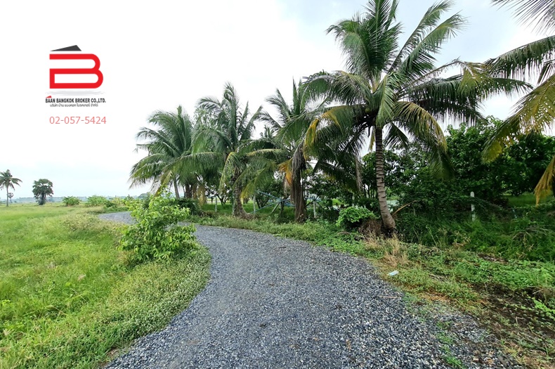 3-LINE_ALBUM_07446ทีดินถมแล้ว30-0-30ต.กระเสียวอ.สามชุกจ.สุพรรณ_220521_2413