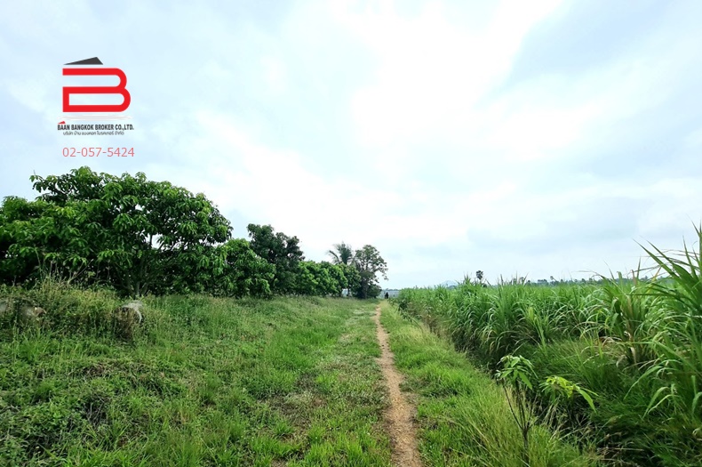 3-LINE_ALBUM_07446ทีดินถมแล้ว30-0-30ต.กระเสียวอ.สามชุกจ.สุพรรณ_220521_2913