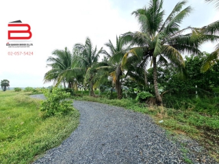 3-LINE_ALBUM_07446ทีดินถมแล้ว30-0-30ต.กระเสียวอ.สามชุกจ.สุพรรณ_220521_2413