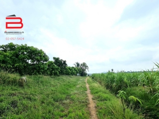 3-LINE_ALBUM_07446ทีดินถมแล้ว30-0-30ต.กระเสียวอ.สามชุกจ.สุพรรณ_220521_2913