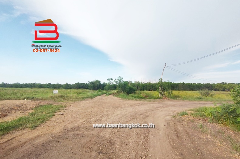 3-LINE_ALBUM_List no.07564ที่ดิน587องครักษ์Lek_220822_1313