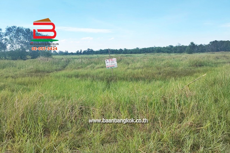 ที่ดินเปล่า วัดโพธิ์แทน เนื้อที่ 1-1-87 ไร่ ถนนปทุมธานี-นครนายก ตำบลบางปลากด อำเภอองครักษ์ จังหวัดนครนายก