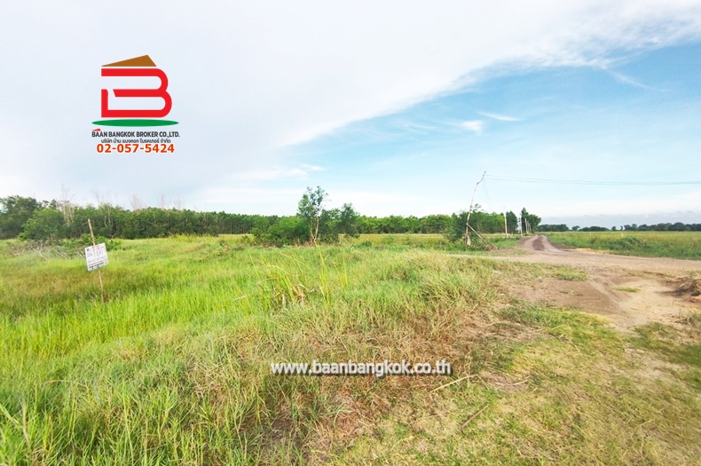 3-LINE_ALBUM_List no.07564ที่ดิน587องครักษ์Lek_220822_913