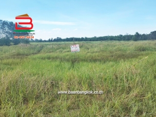 3-LINE_ALBUM_List no.07564ที่ดิน587องครักษ์Lek_220822_1613