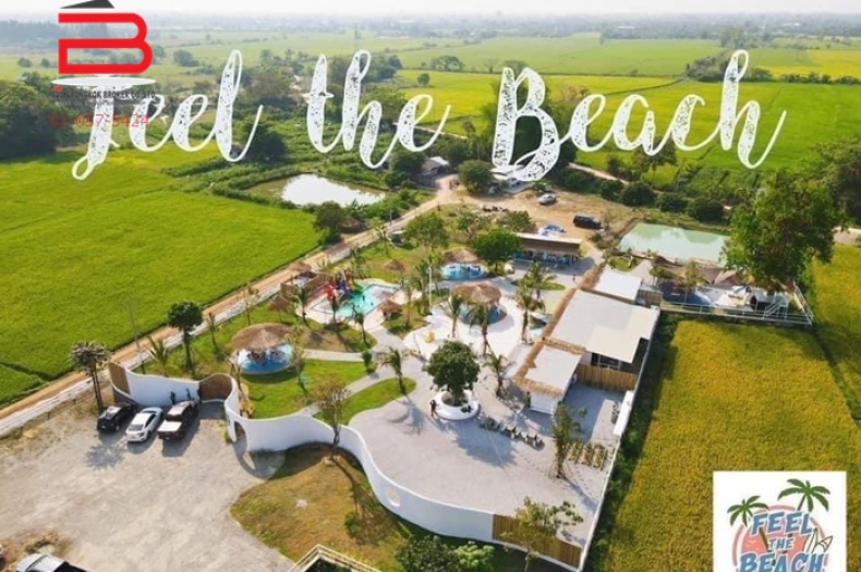 ที่ดิน+บ้าน+กิจการ Feel  the Beach เนื้อที่ 4-0-47.8 ไร่ ถนนทางหลวงชนบทลำพูน 4035  อ.เมือง จ.ลำพูน
