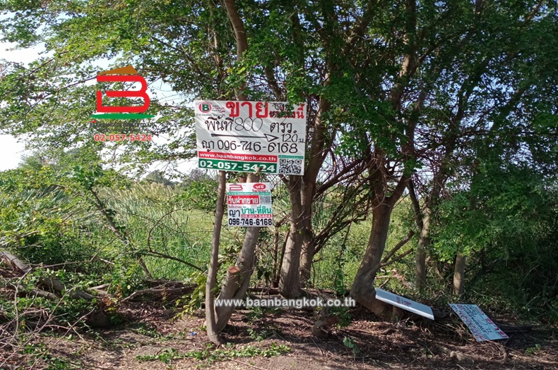 LINE_ALBUM_No.07882 ที่ดินลาดบัวหลวง_221219_27