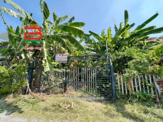 S__56672266_0