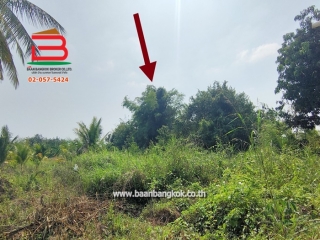 10515, ที่ดินเปล่า บ้านหนองหัวเรือ ซ.6 เนื้อที่ 116 ตรว.ทางหลวงชนบท นว.3102 อ.เก้าเลี้ยว จ.นครสวรรค์