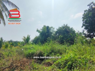 LINE_ALBUM_list.08083ที่ดิน116ตรว.เก้าเลี้ยวLek_๒๓๐๒๑๖_17