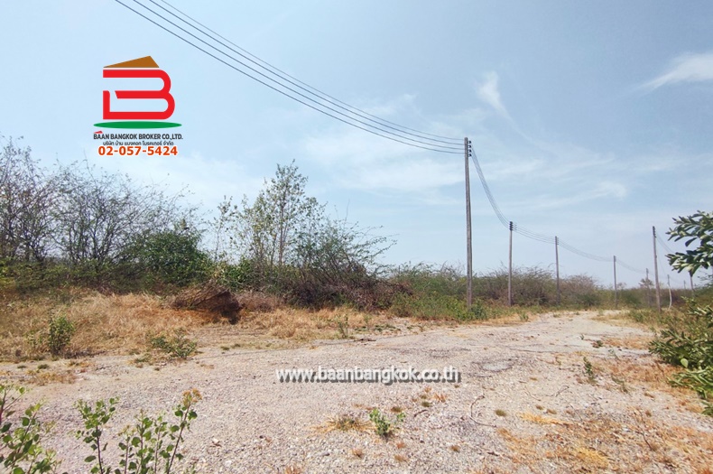  ที่ดินเปล่า ชุมชนบ้านหนองตาพด เนื้อที่ 118 ตรว. ถนนนราธิป ตำบลชะอำ อำเภอชะอำ จังหวัดเพชรบุรี