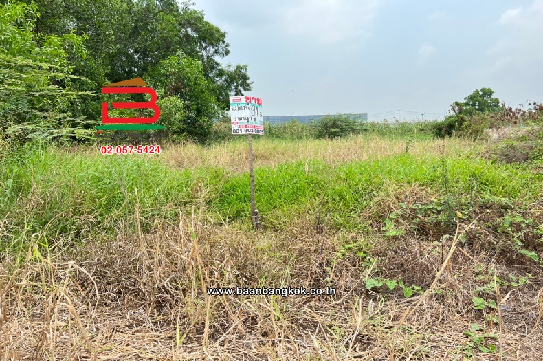LINE_ALBUM_N08271. LD. 93.4 va. คลองสี่ตะวันตก_230403_1