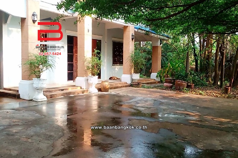 บ้านเดี่ยว ใกล้อู่ช่างเอ๋เซอร์วิส เนื้อที่ 429 ตรว. ถ.หมายเลข สร.3054 อ.เมืองสุรินทร์ จ.สุรินทร์ 