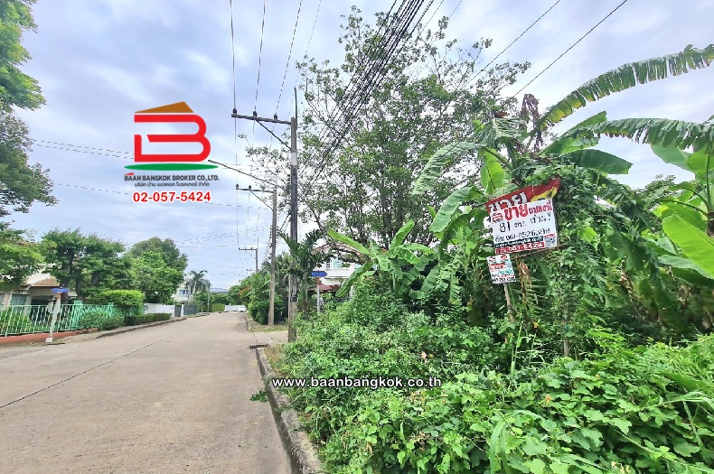 LINE_ALBUM_09683ต่อที่ดินแปลงมุม.ม.ปราริชาติต.บางคูวว._240730_15