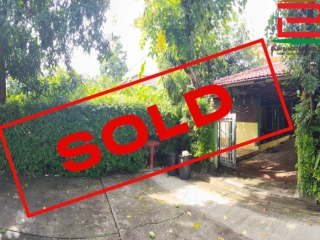09621, บ้านเดี่ยว หมู่บ้าน บุรีรมย์ คู้บอน 41 เนื้อที่ 77 ตรว. ถนนคู้บอน 41 เขตคลองสามวา