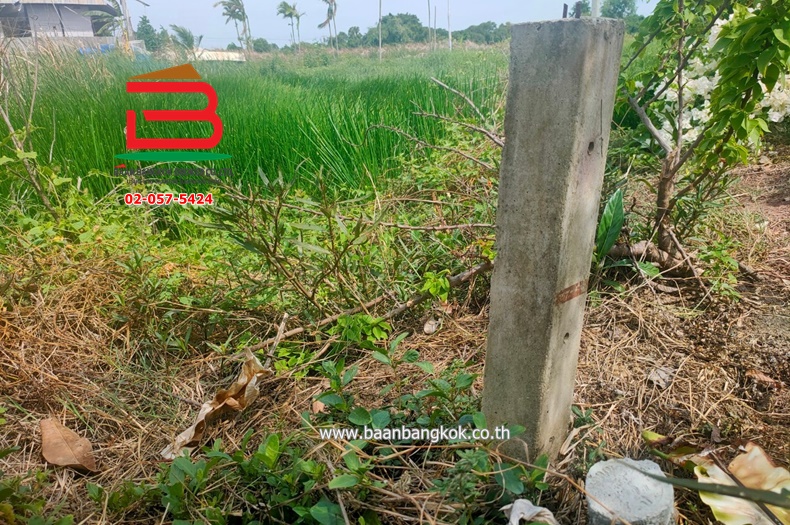 3-LINE_ALBUM_List.08525ที่ดินบางบ่อ2ไร่2งานLek_๒๓๐๘๒๑_713
