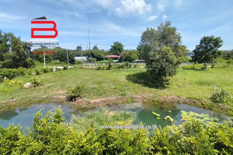3-LINE_ALBUM_N.08841บ้านพร้อมที่ดิน193ตรวหนองเสือคลอง9ปทุม_231009_713