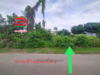 LINE_ALBUM_08902 ที่ดิน ซ.สองพี่น้อง คลองถนน บางใหญ่_๒๓๑๐๒๔_11