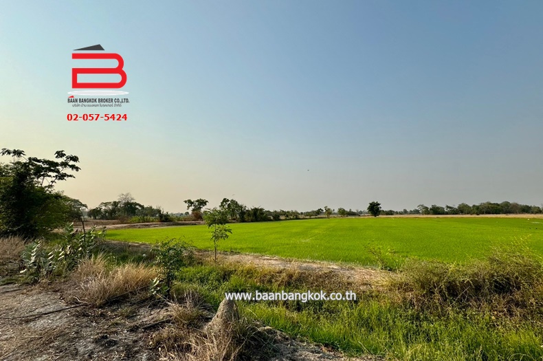 3-LINE_ALBUM_N09294 LD 30ไร่  จ.สุพรรณบุรี_240409_213