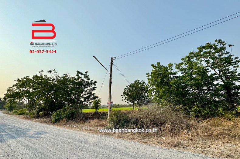 3-LINE_ALBUM_N09294 LD 30ไร่  จ.สุพรรณบุรี_240409_513