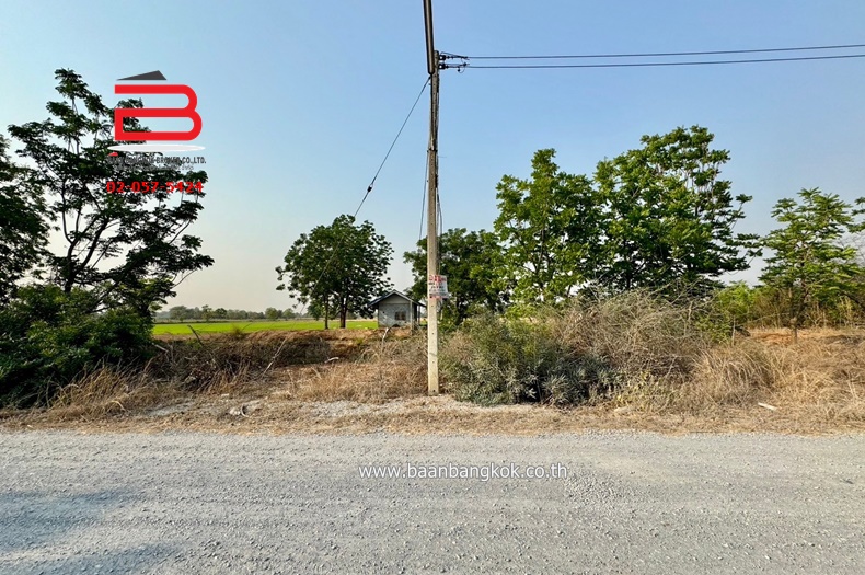3-LINE_ALBUM_N09294 LD 30ไร่  จ.สุพรรณบุรี_240409_613