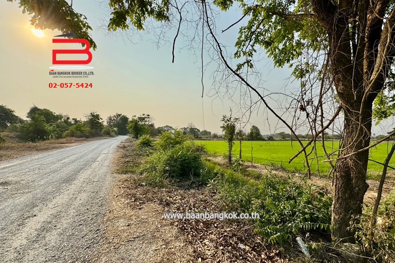 3-LINE_ALBUM_N09294 LD 30ไร่  จ.สุพรรณบุรี_240409_713