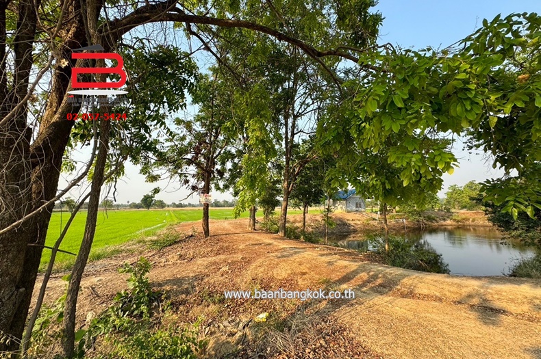 3-LINE_ALBUM_N09294 LD 30ไร่  จ.สุพรรณบุรี_240409_813