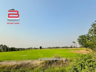 3-LINE_ALBUM_N09294 LD 30ไร่  จ.สุพรรณบุรี_240409_113