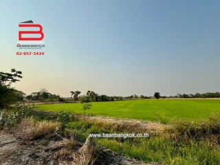 3-LINE_ALBUM_N09294 LD 30ไร่  จ.สุพรรณบุรี_240409_213