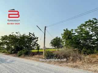3-LINE_ALBUM_N09294 LD 30ไร่  จ.สุพรรณบุรี_240409_513