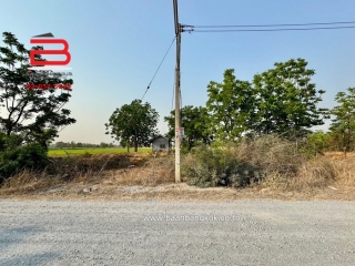 3-LINE_ALBUM_N09294 LD 30ไร่  จ.สุพรรณบุรี_240409_613