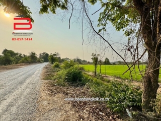 3-LINE_ALBUM_N09294 LD 30ไร่  จ.สุพรรณบุรี_240409_713